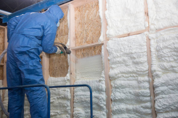 Best Eco-Friendly or Green Insulation Solutions in Valley Springs, CA